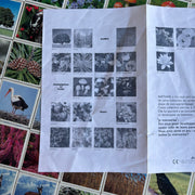 Jeu Je mémorise Mémo Nature