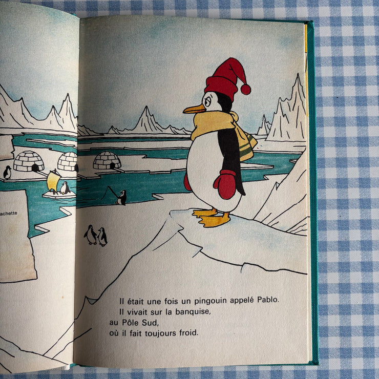 Livre Le pingouin qui n’aimait pas le froid