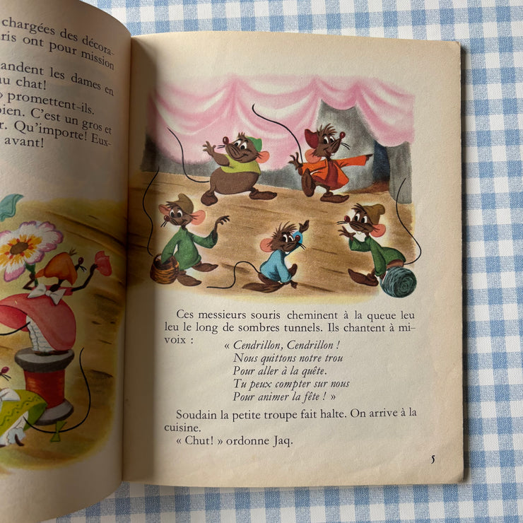 Livre Les amis de Cendrillon