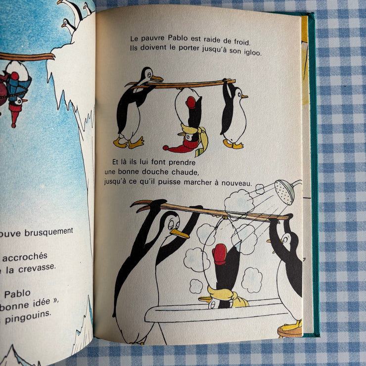 Livre Le pingouin qui n’aimait pas le froid