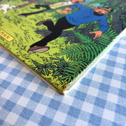 BD Tintin et les Picaros