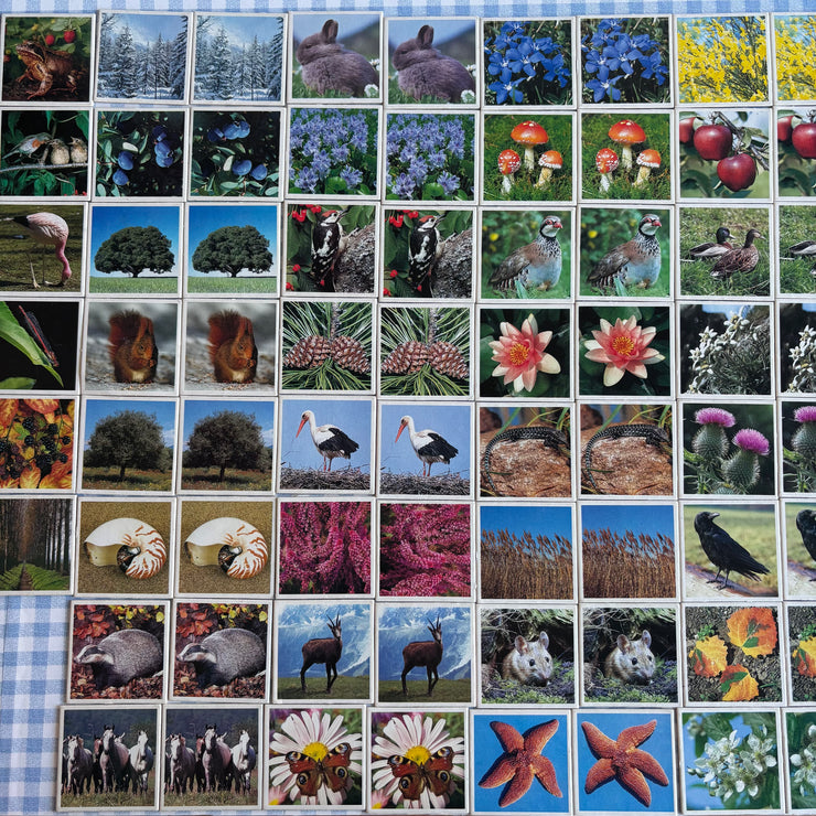 Jeu Je mémorise Mémo Nature