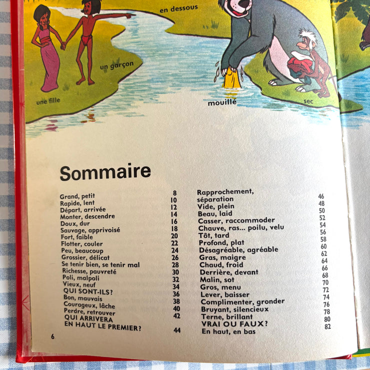 Collection Walt Disney complète