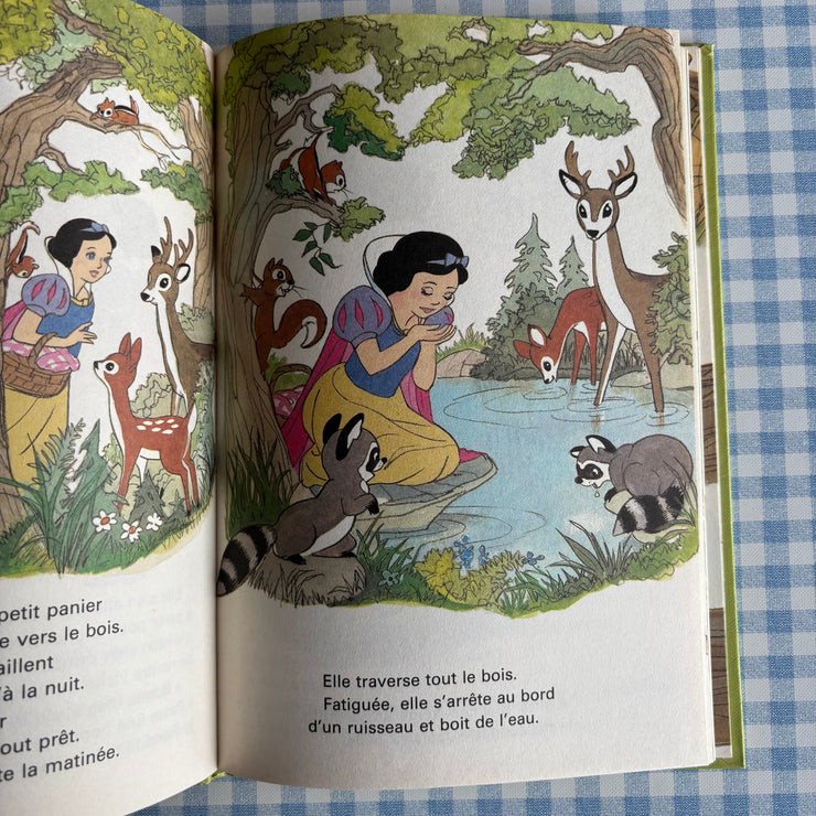 Livre une journée mouvementée