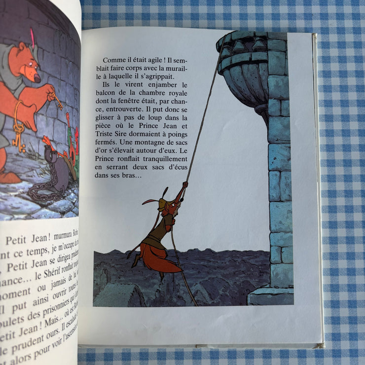 Livre Robin des bois