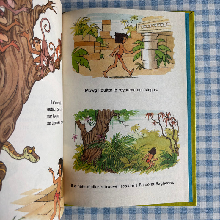 Livre moogli et Kaa