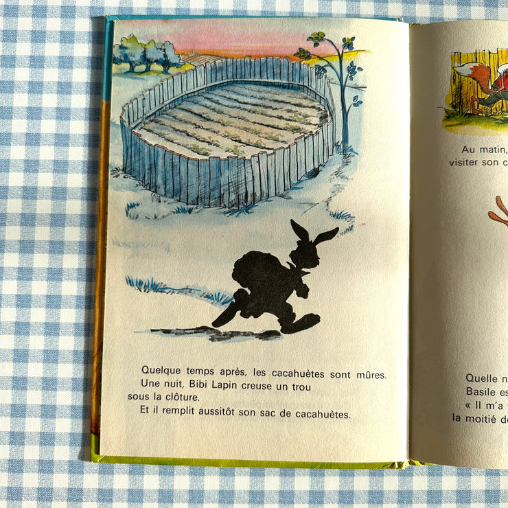 Livre Bibi lapin et ses amis