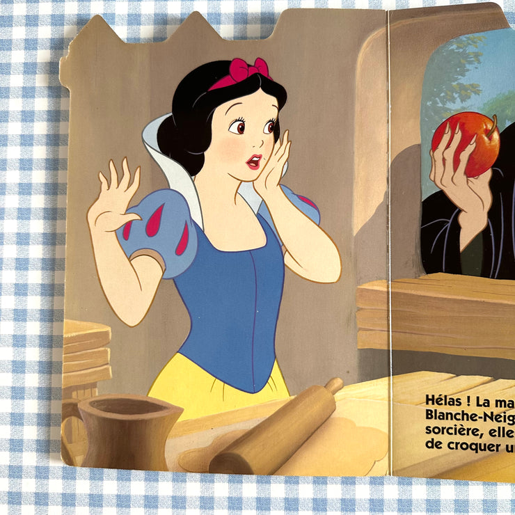 Livre Blanche neige et les 7 nains