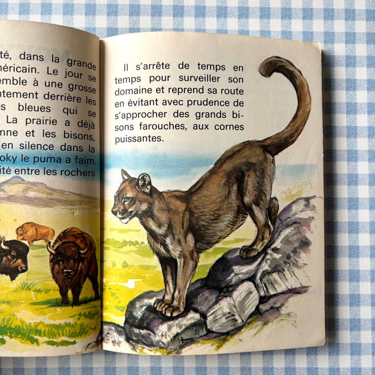 Livre Moky le puma