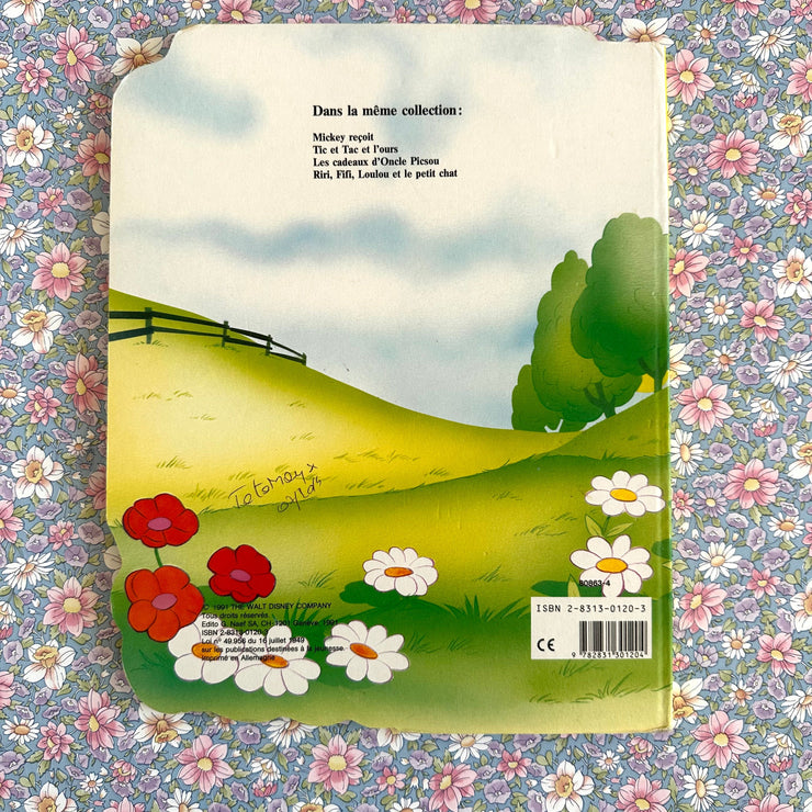Livre Le joli bouquet de Daisy