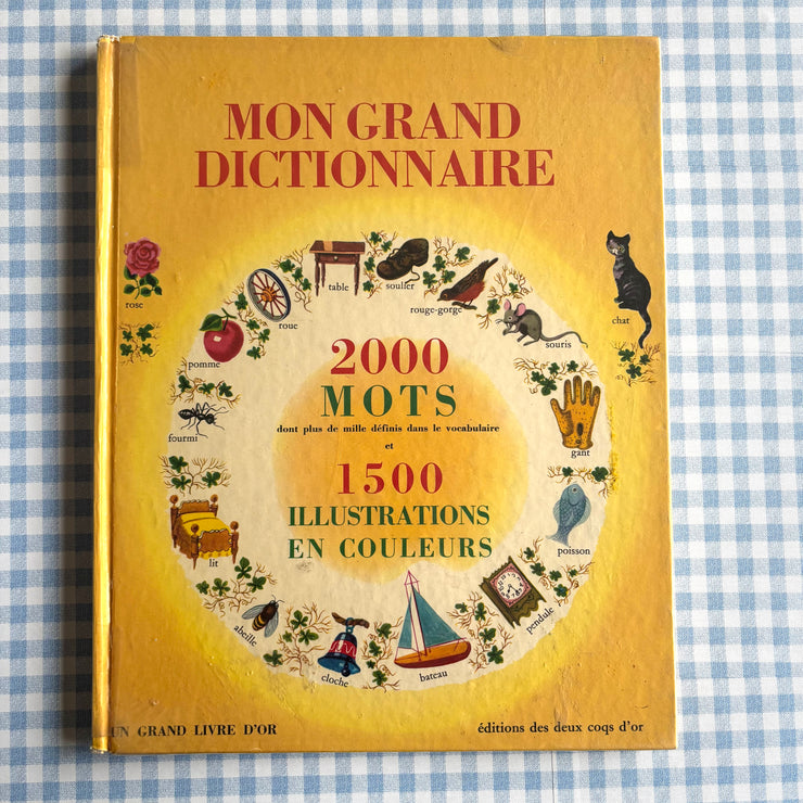 Livre éducatif Mon grand Dictionnaire