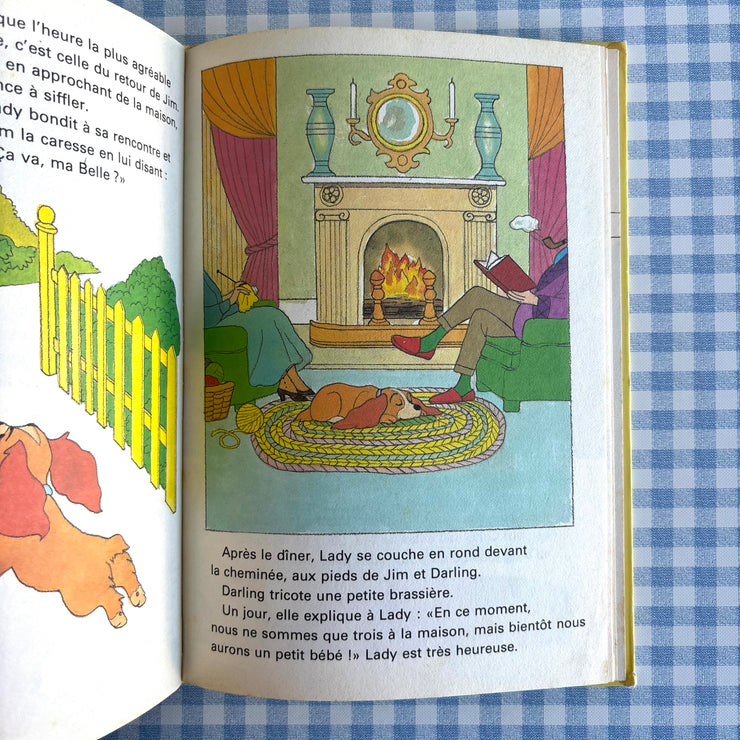 Livre La belle et le clochard