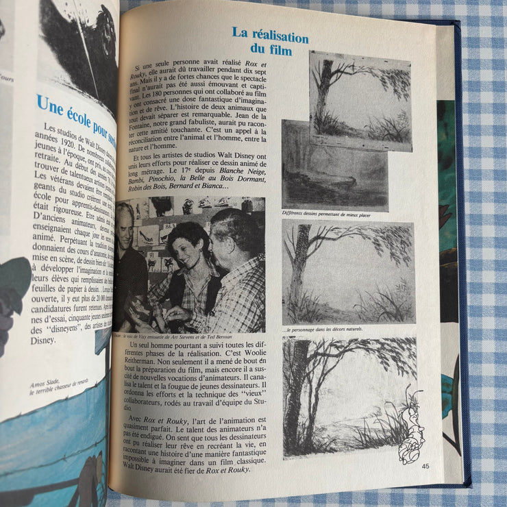 Livre bande dessinée Rox et Rouky